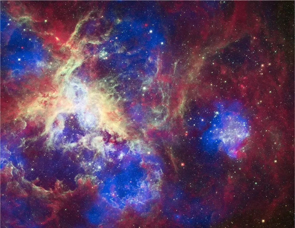 Gravity’s Blueprint: How the Cosmic Web Took Shape (Image Credits: Rawpixel)