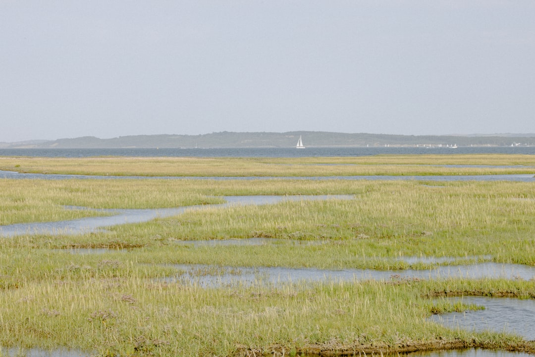 Nisqually River Delta, Washington - Tides Return, Carbon Burial Follows (Image Credits: Unsplash)