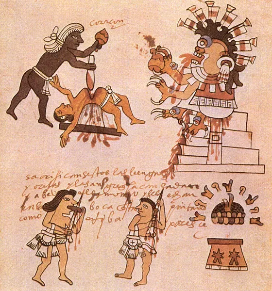 #14 - The Bloodletting Rituals That Were Actually Political Theater (By ignote, codex from 16th century, Public domain)