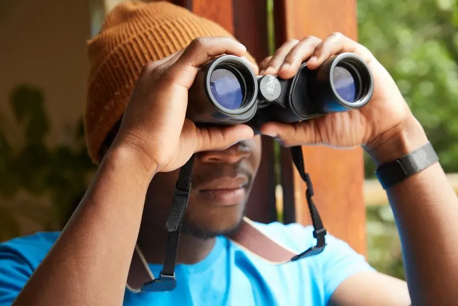 How to Safely Watch and Support the Hawks on Your Fence Line (Image Credits: Pexels)
