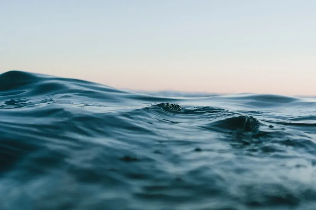 #7 - "Train," The Ocean Noise That Sounds Straight Out Of A Horror Movie (Image Credits: Unsplash)
