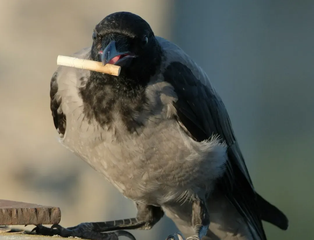 5. Developing New Problem-Solving Skills and Urban Intelligence (Image Credits: Unsplash)