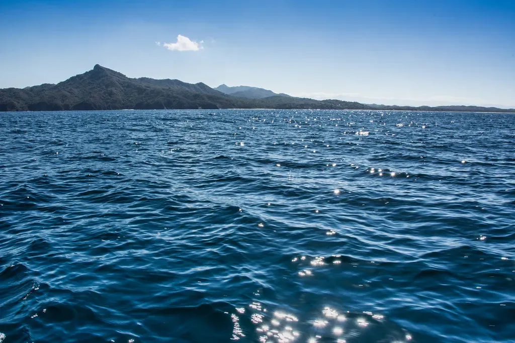 The Ocean As A Giant, Hidden Oxygen Factory (apasciuto, Flickr, CC BY 2.0)