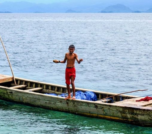 Enhanced Immune Systems and Disease Resistance (Image Credits: Wikimedia)