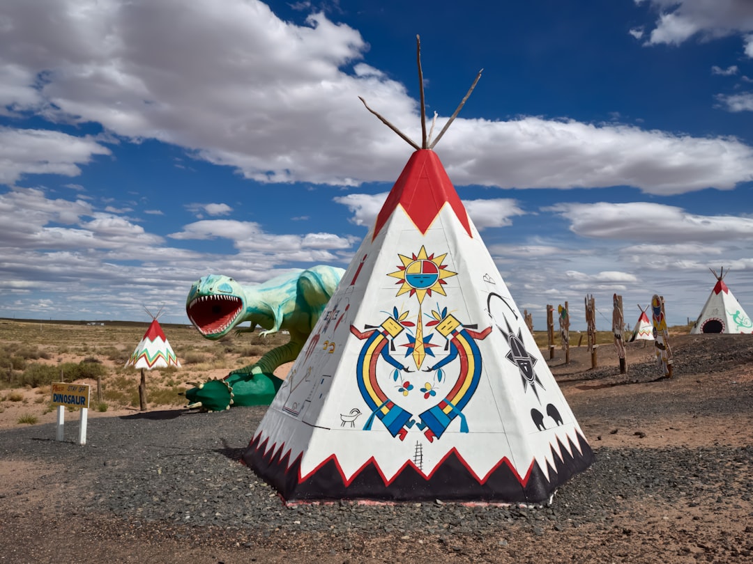 Their Modern Challenges Reflect Historical Injustices (Image Credits: Unsplash)