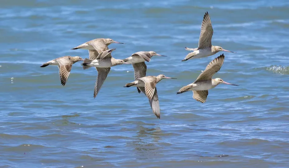 Landmarks, Coastlines, and Memory of Place (Image Credits: Pexels)