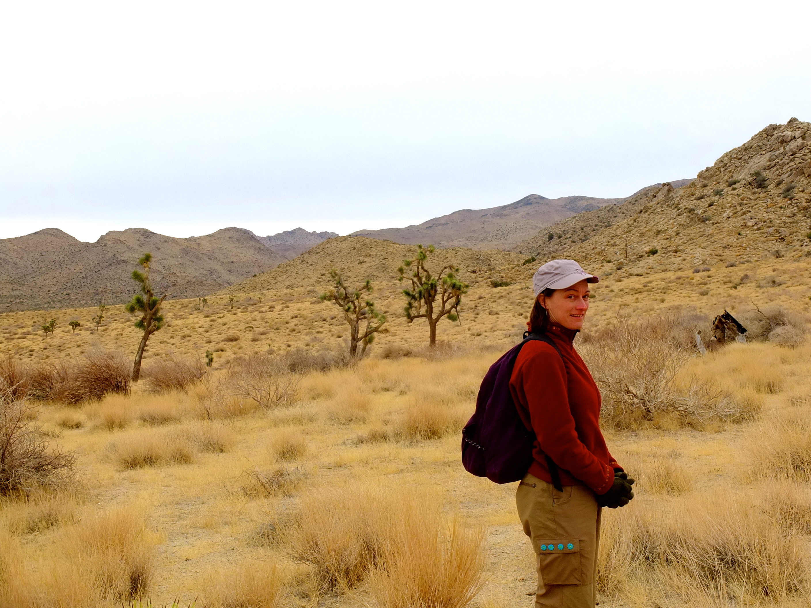 Sagittarius: The Desert Wanderer (Image Credits: Wikimedia)