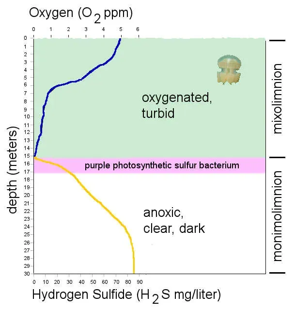 Water Layers That Behave Like a Mountain’s Memory (Image Credits: Wikimedia)