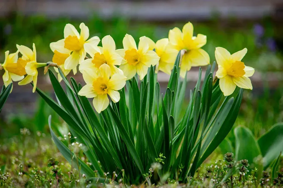 Gemini – Daffodil: Curious, Bright, And Always In Motion (Image Credits: Pexels)