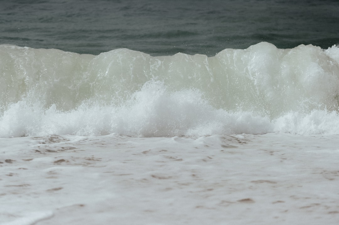 Ocean Systems: The Slow Responders (Image Credits: Unsplash)