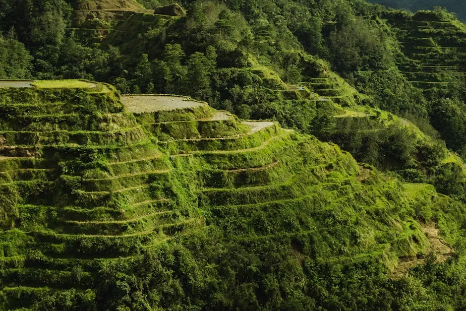 #15 – The Banaue Rice Terraces (Philippines) (Image Credits: Pexels)