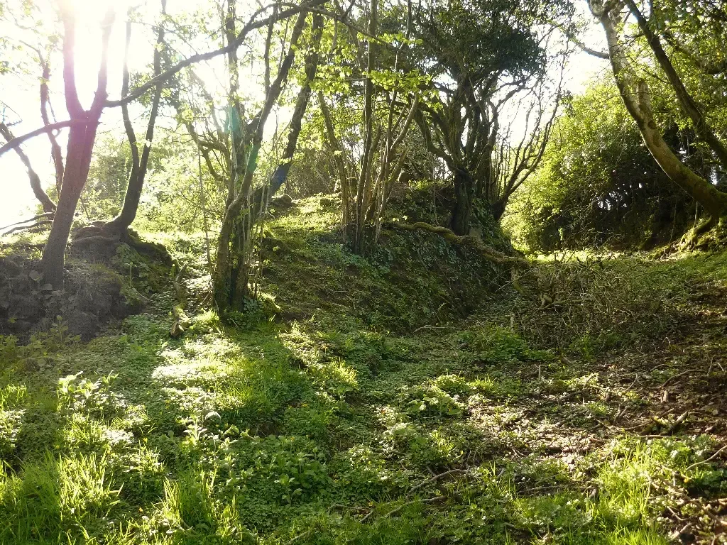 Why These Hidden Cities Matter (Image Credits: Wikimedia)