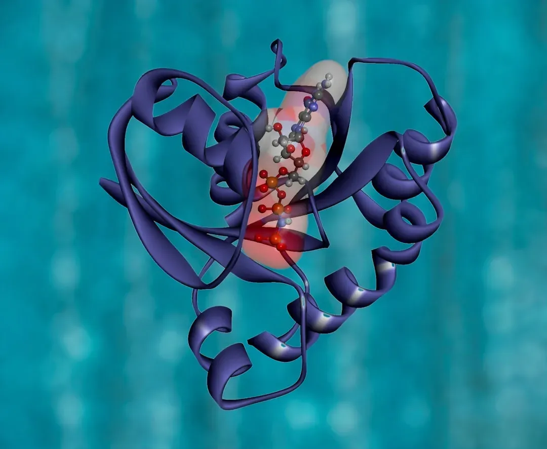 4. The Metabolism-First Idea: Life as Cycles Before Genes (Image Credits: Unsplash)