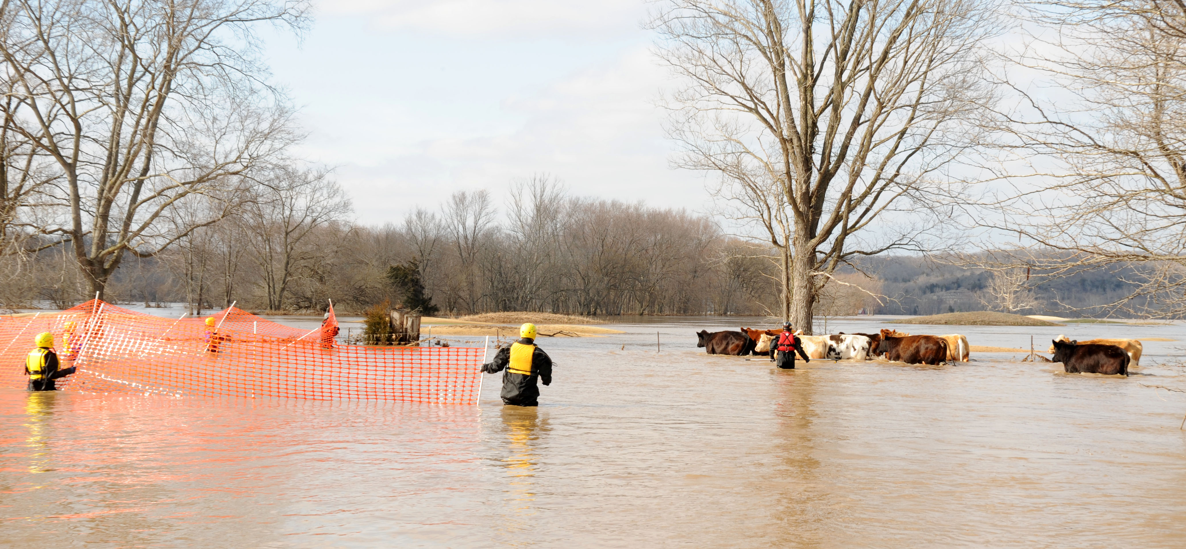 Conclusion: Find Your Role, Then Learn It Well (Image Credits: Wikimedia)