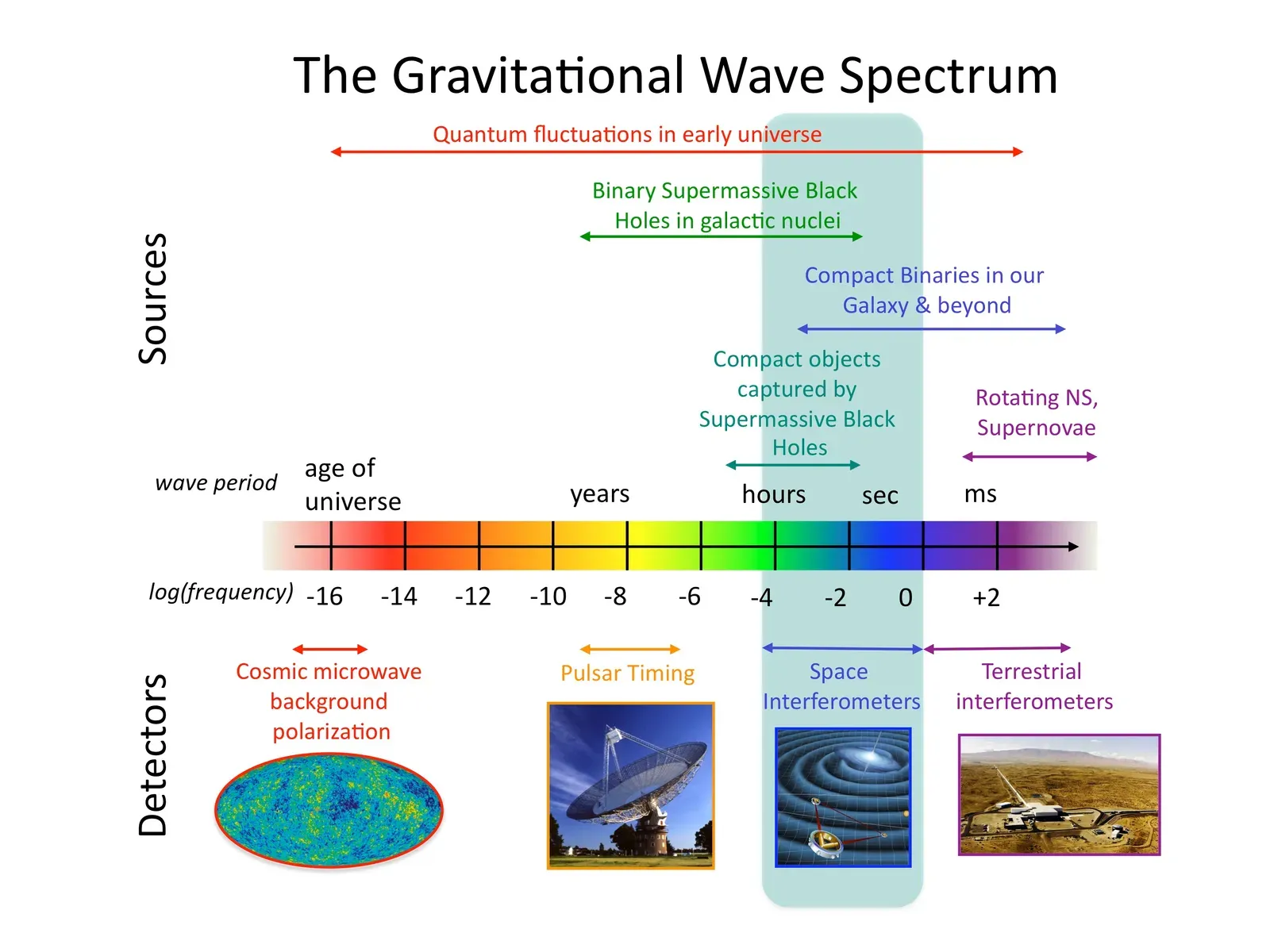 Einstein's Gravitational Waves Ripple Into Reality (Image Credits: Wikimedia)