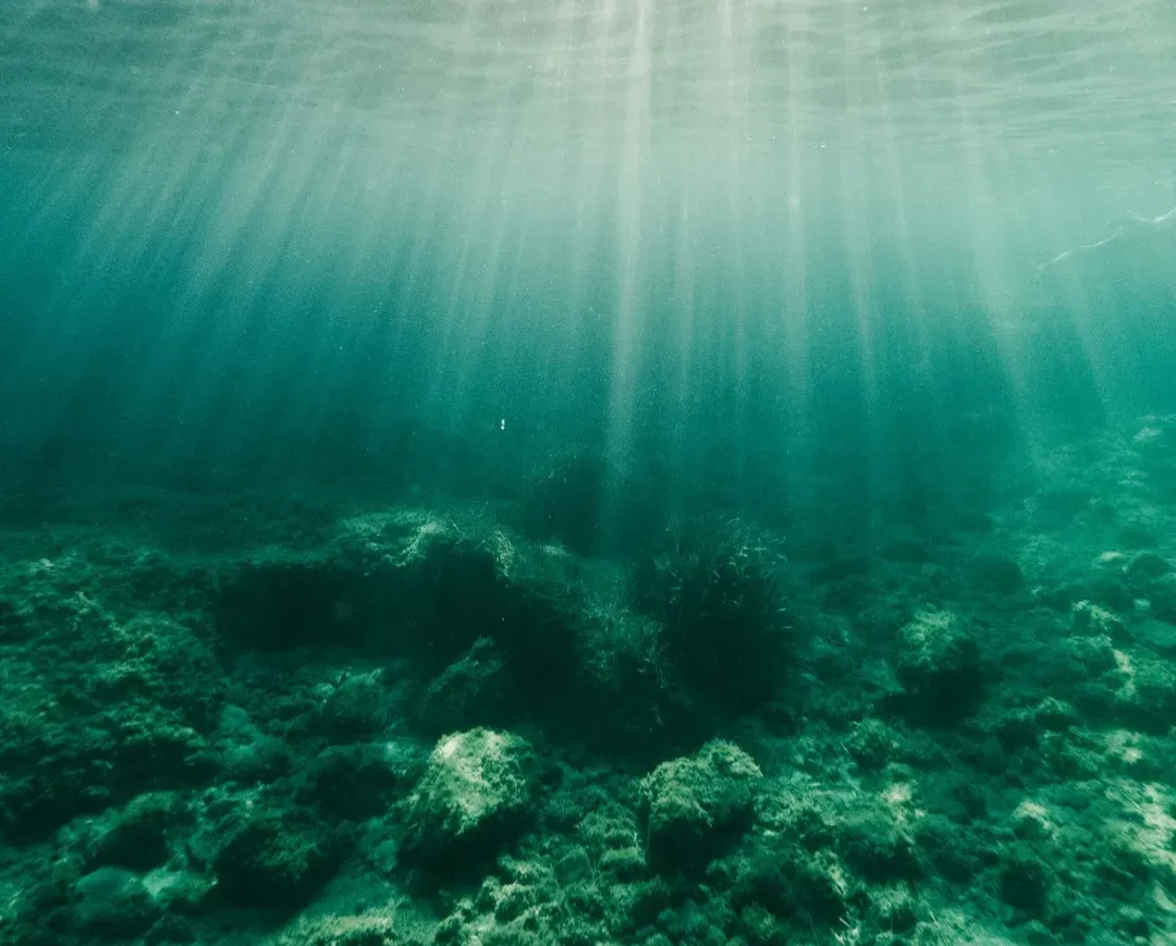 The Underwater Hunt for Possible Interstellar Fragments (Image Credits: Unsplash)