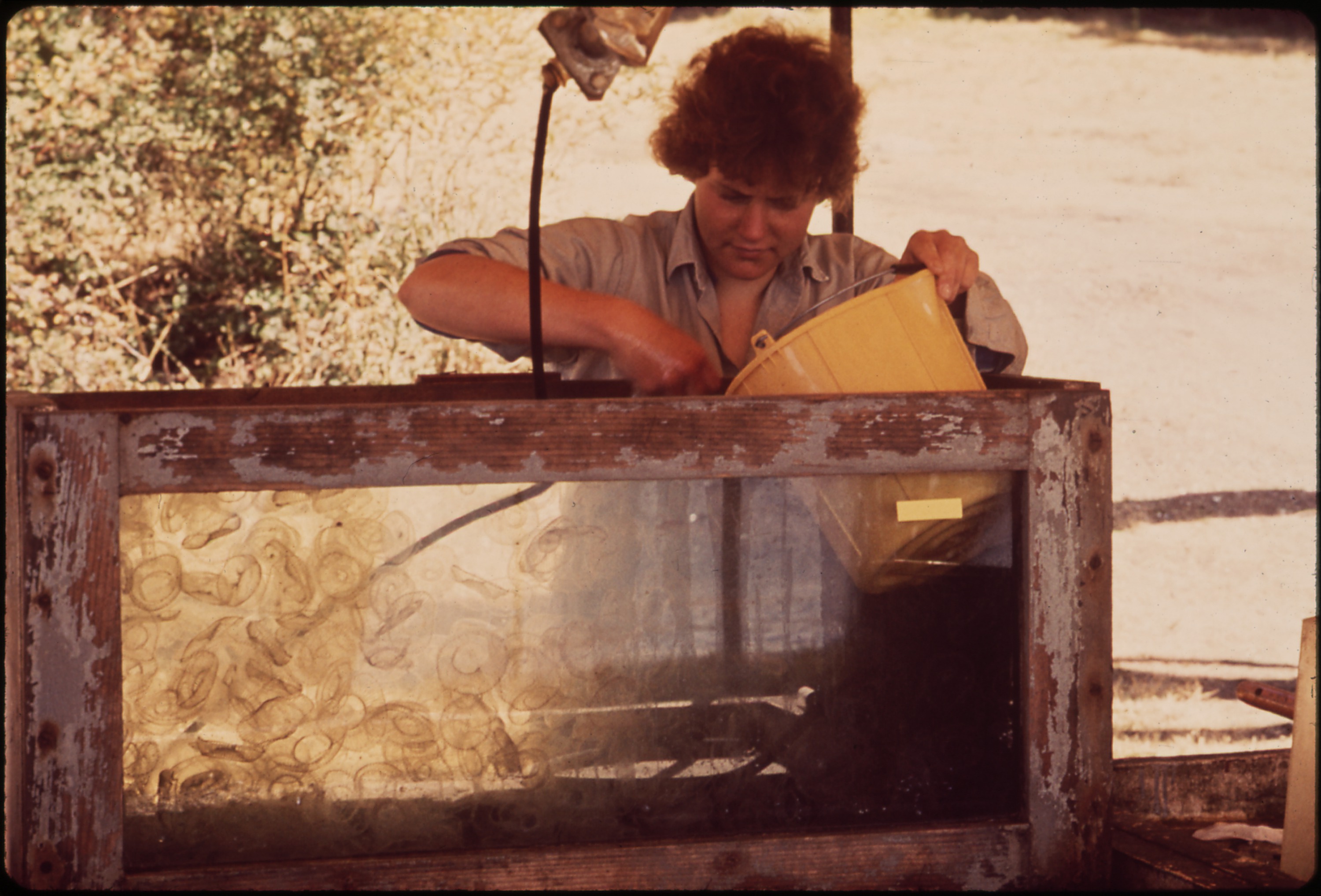 From Ancient Tools to Modern Science (Image Credits: Wikimedia)