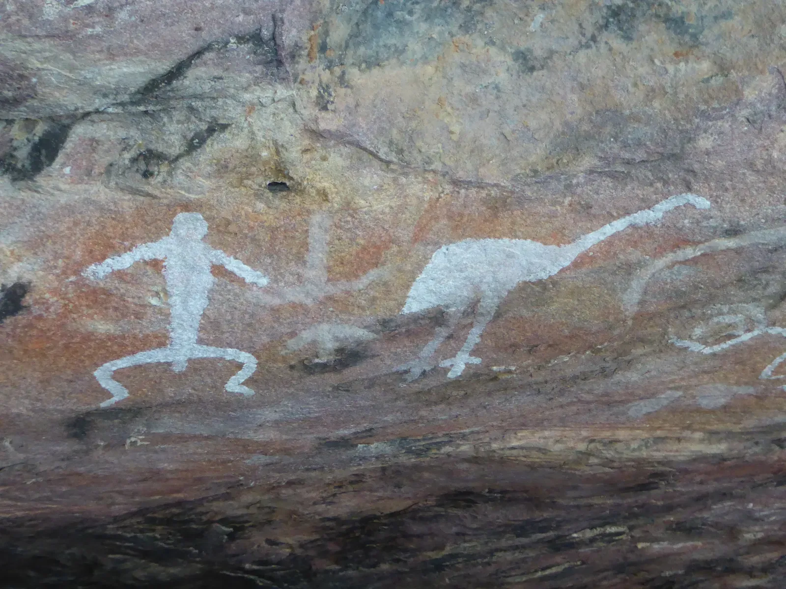 #14 - Australia's Human History Just Doubled Back (By gabecollett, CC BY-SA 4.0)
