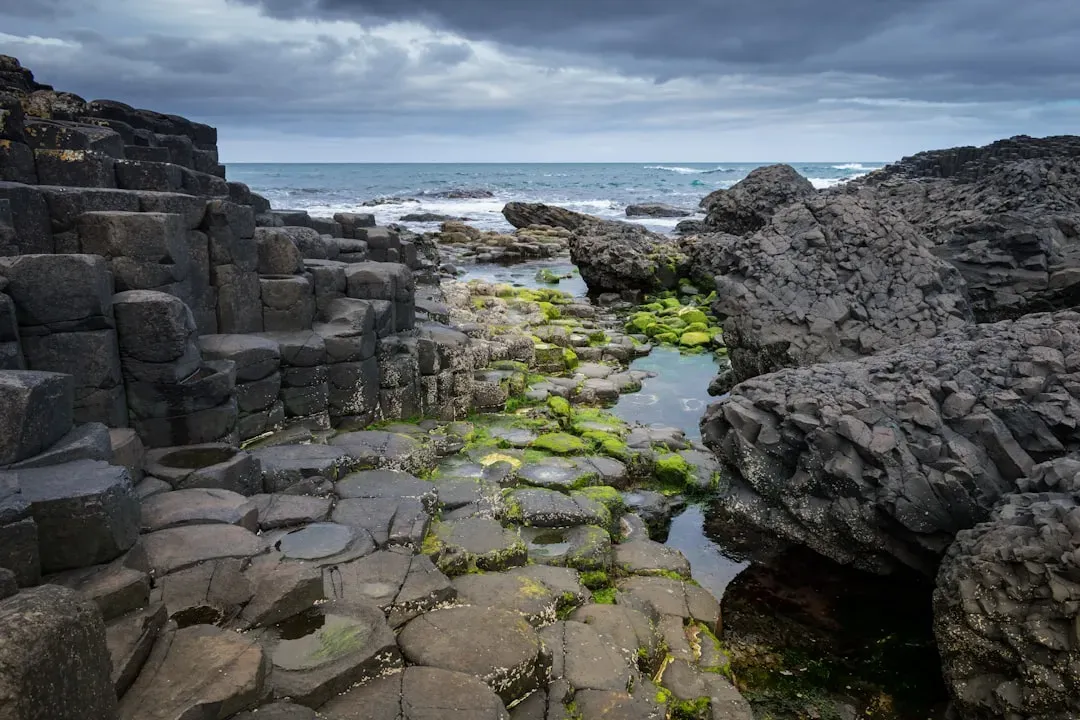 9. Giant’s Causeway Coastal Beach, Northern Ireland (Image Credits: Unsplash)
