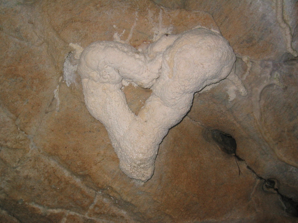 Symbiotic Partnerships with Cave Wildlife (Image Credits: Flickr)