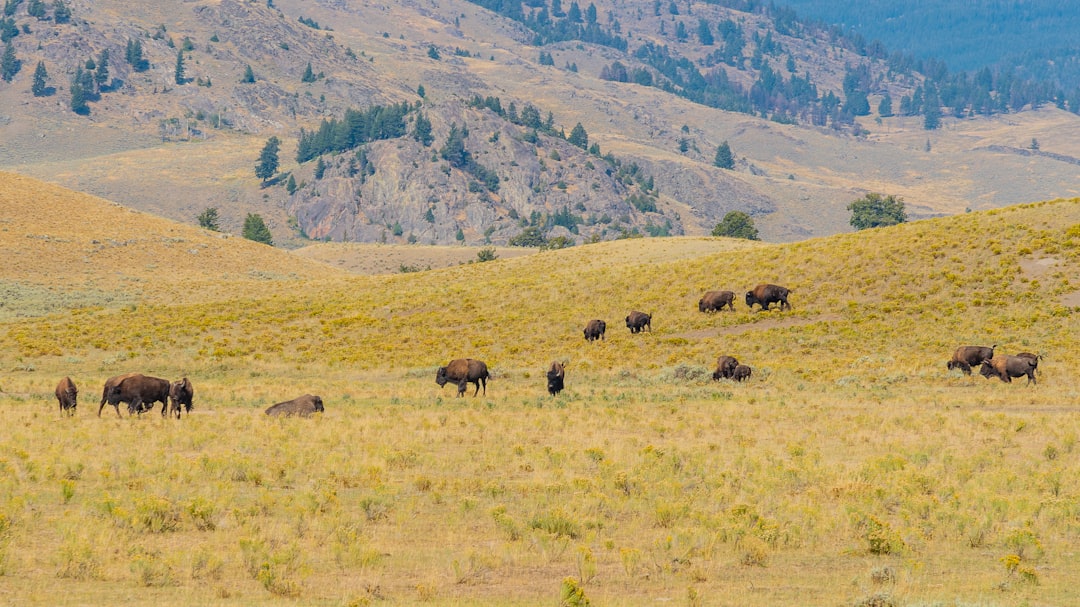 Visible Changes from Space (Image Credits: Unsplash)