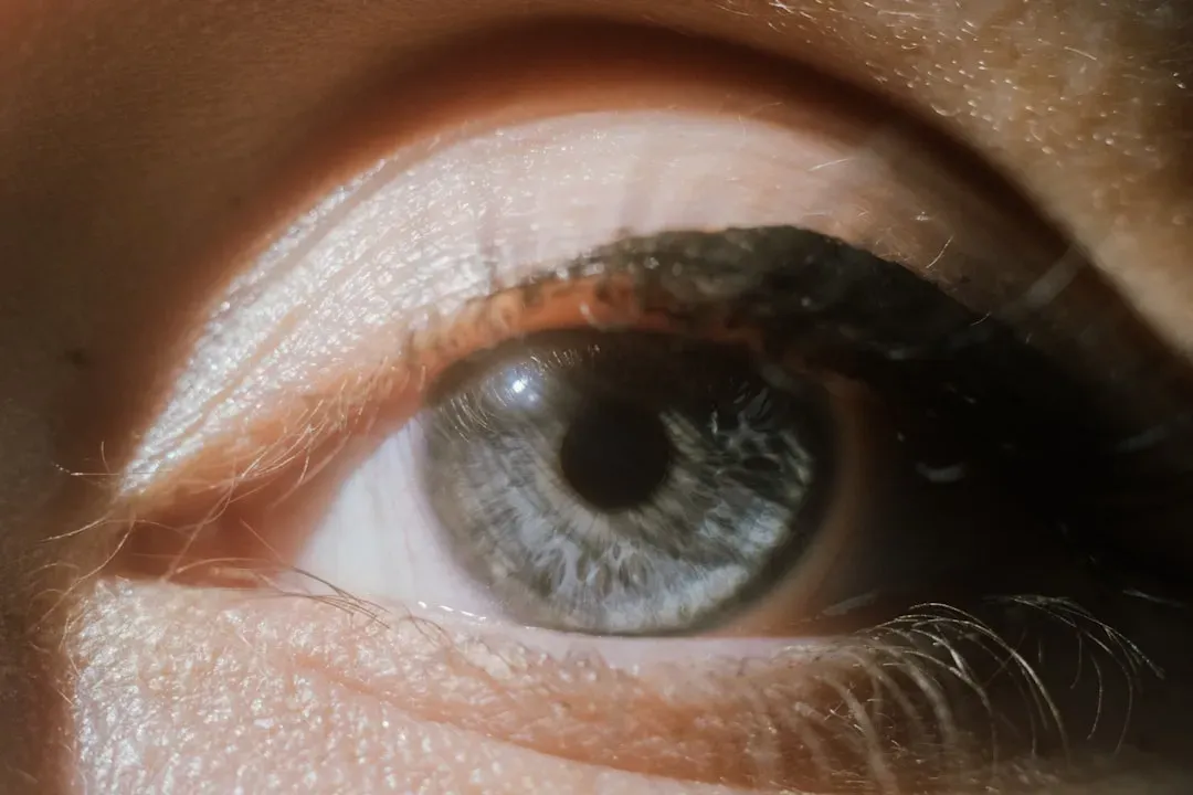 Your Eyes: Turning Light into Reality (Image Credits: Unsplash)