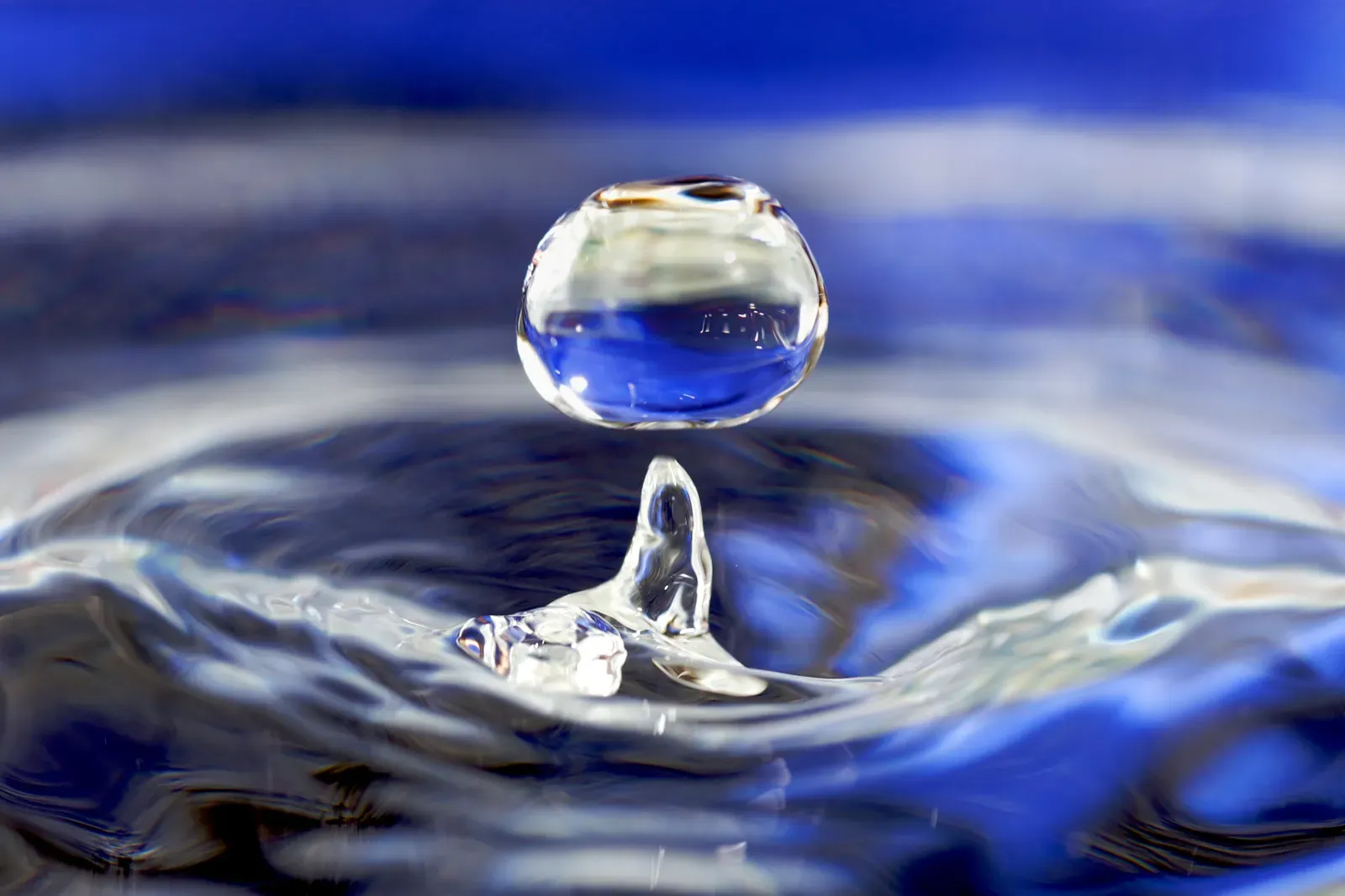 The "Memory of Water" That Nearly Rewrote Chemistry (Flickr, CC BY 2.0)