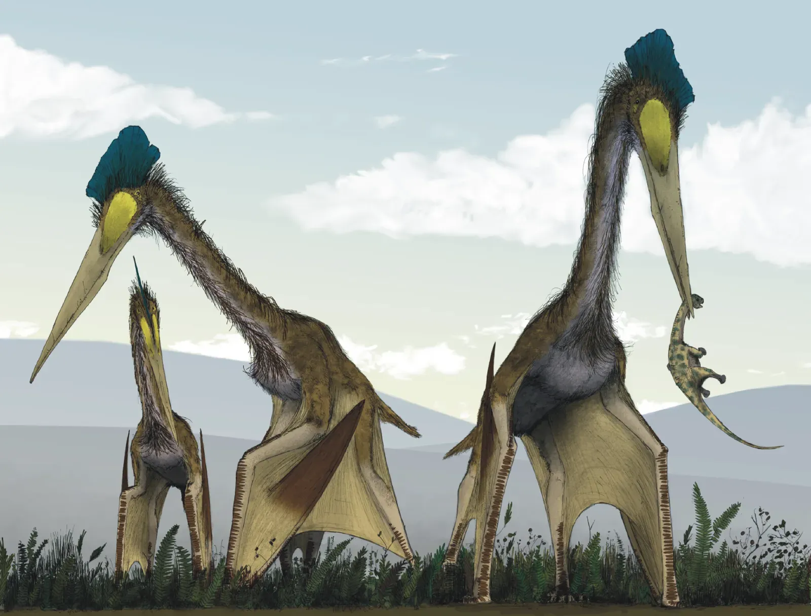 #9 - Quetzalcoatlus: The Giant Flying Predator From a Palm-Sized Beak (Witton MP, Naish D (2008) A Reappraisal of Azhdarchid Pterosaur Functional Morphology and Paleoecology. PLoS ONE 3(5): e2271. doi:10.1371/journal.pone.0002271, CC BY 3.0)
