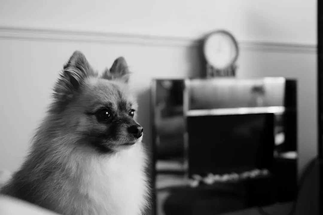 Can We Ever Know What It's Like to Be Another Animal? (Image Credits: Unsplash)