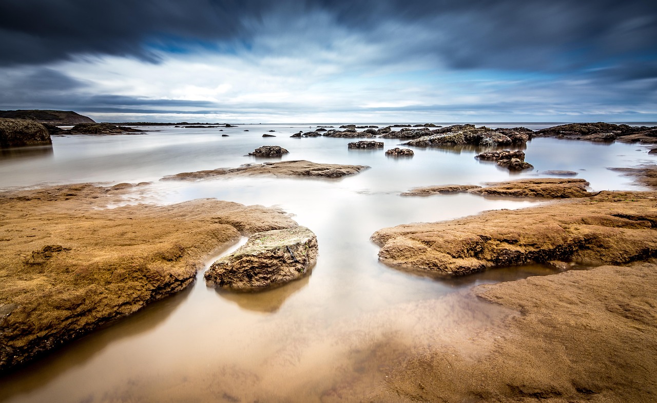 Coastal Erosion Threatening Nesting Sites (Image Credits: Pixabay)