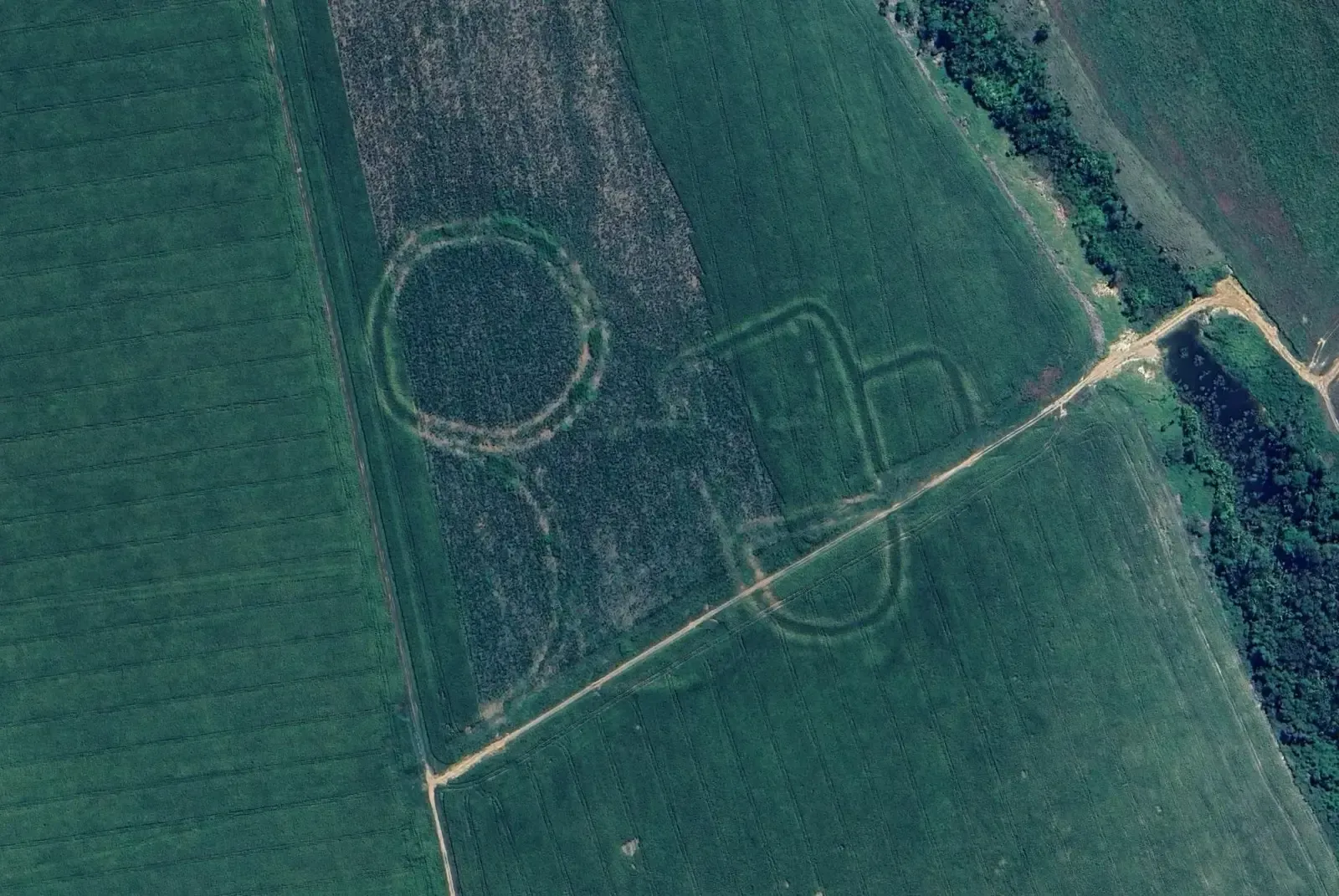 Amazonian Geoglyphs and Dark Earths: A Managed Forest, Not a Pristine Wilderness (Image Credits: Wikimedia)