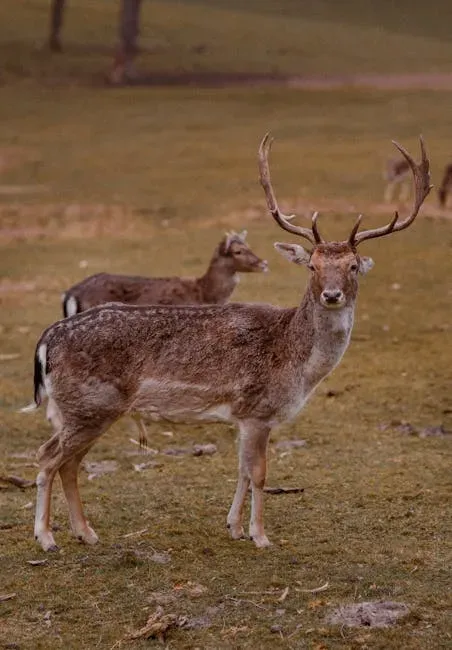 How Habitat Shapes the Colors You Can See (Image Credits: Pexels)
