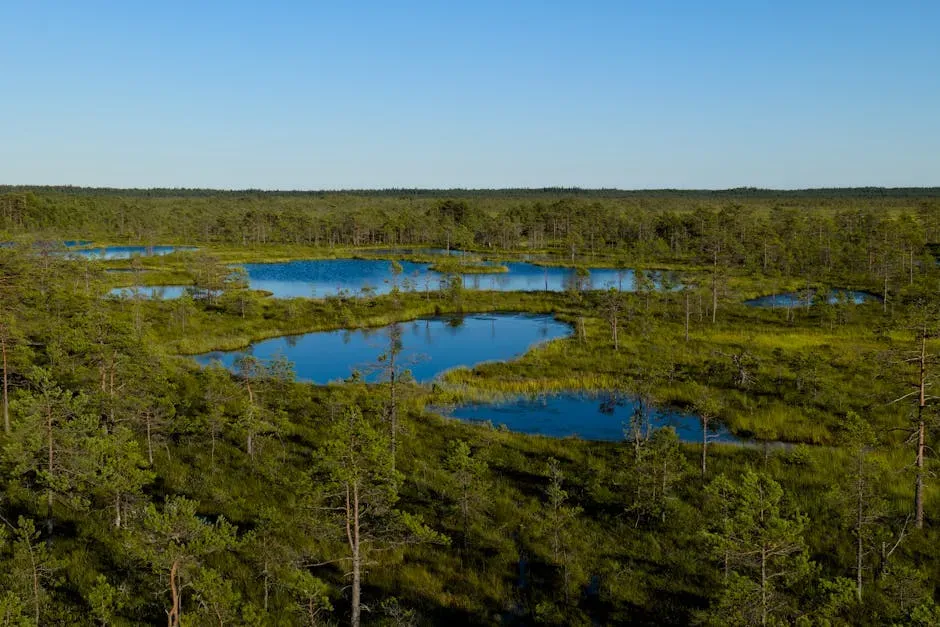 Conclusion: The Hidden Pillars Holding Nature Together (Image Credits: Pexels)