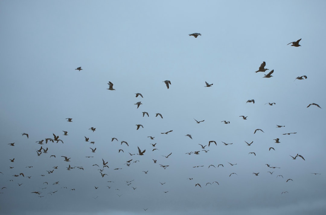 Climate Change and Extreme Wind Events (Image Credits: Unsplash)