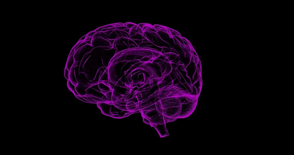 Brains as Mind-Machines: What Neuroscience Actually Shows (Image Credits: Flickr)