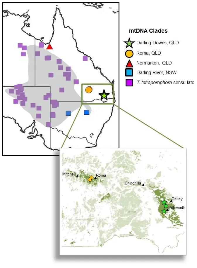 The Hidden Clues: How We Actually Find “New” Life (Image Credits: Wikimedia)