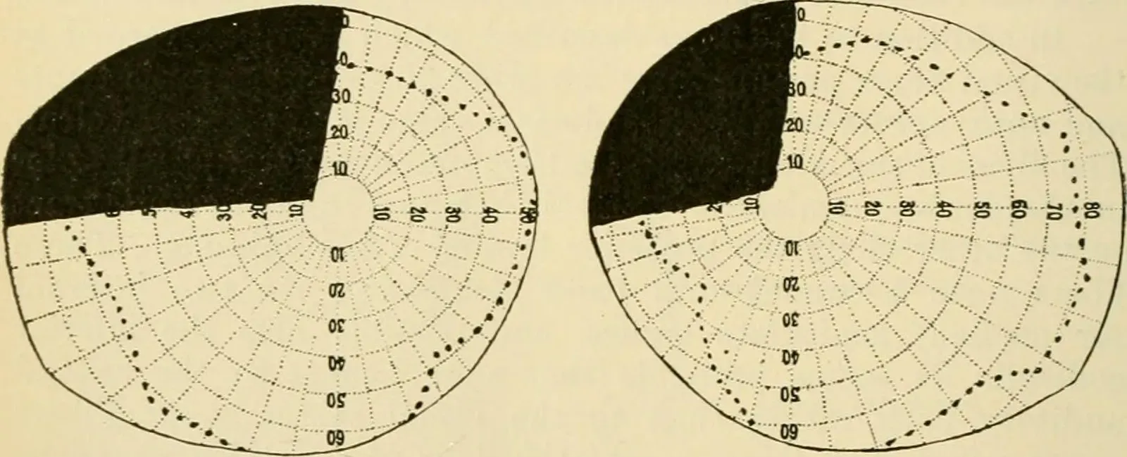 The Invisible Blind Spot: How the Brain Fills in the Gaps (Image Credits: Wikimedia)