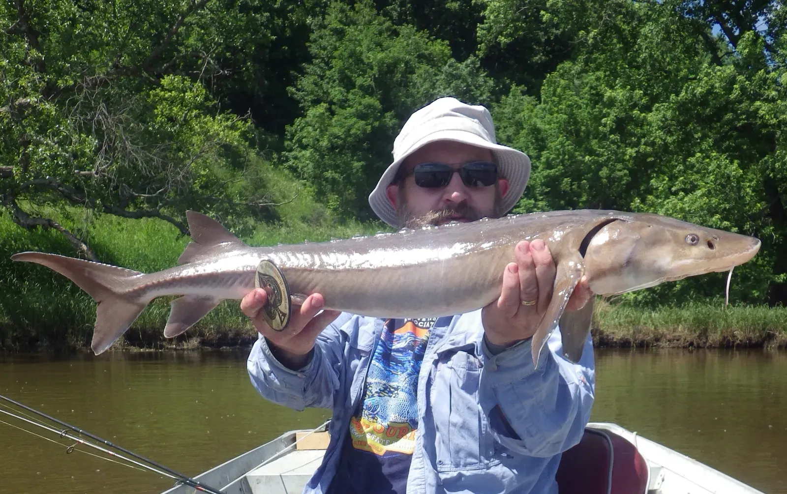 River Monsters in a Changing Climate (By moxostoma, CC BY 4.0)