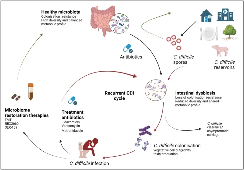 The Everyday Chemicals Disrupting Your Microbiome (Image Credits: Wikimedia)