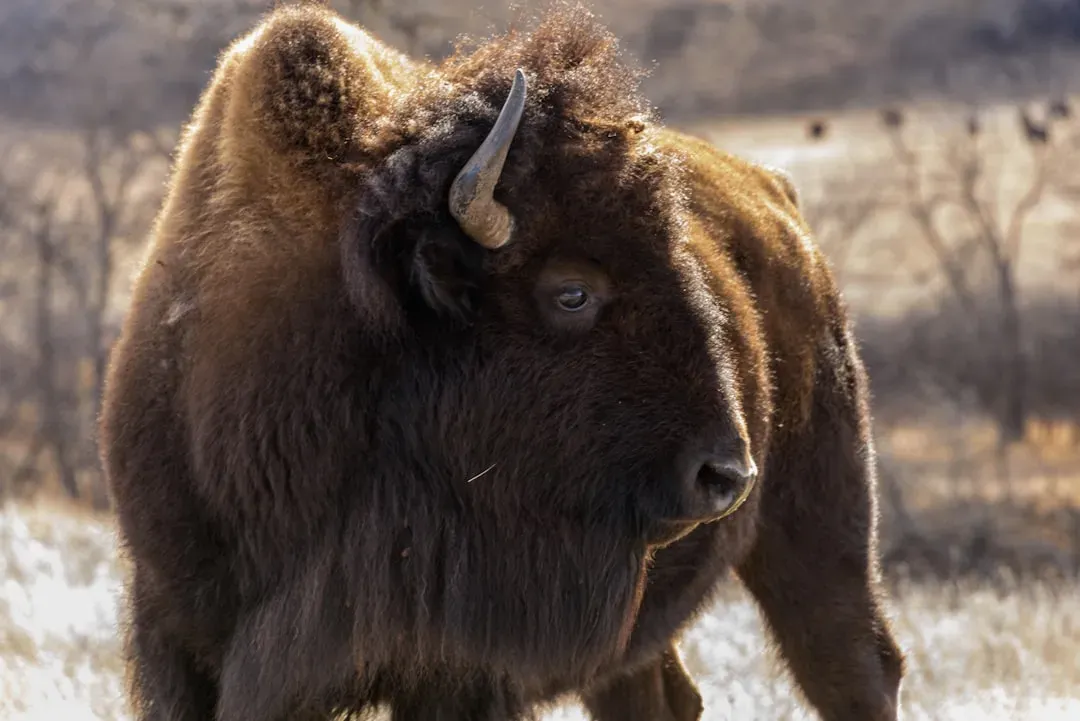 Conclusion (Image Credits: Unsplash)