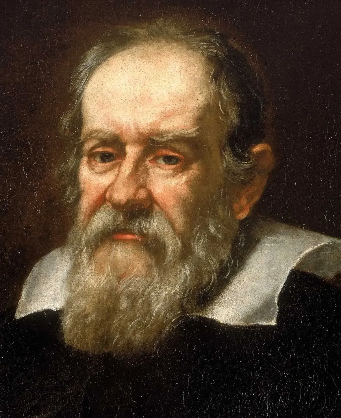 Galileo Galilei: Eyes on the Heavens (Image Credits: Wikimedia)