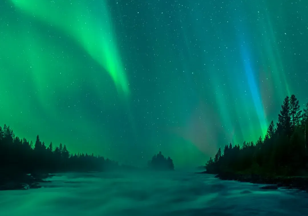 They’re Getting a Boost From the Solar Cycle Right Now (Image Credits: Unsplash)