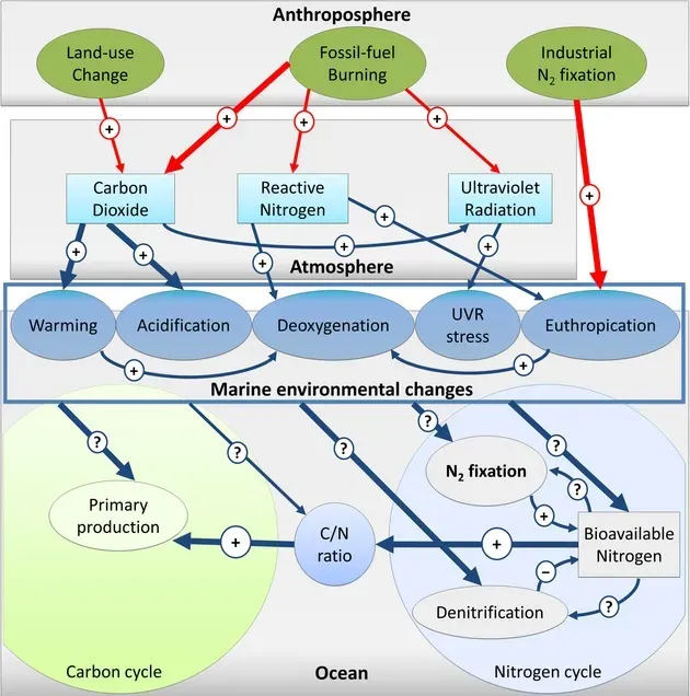 Why It Matters: Our Brains, Our Bodies, and Our Built World (Image Credits: Wikimedia)