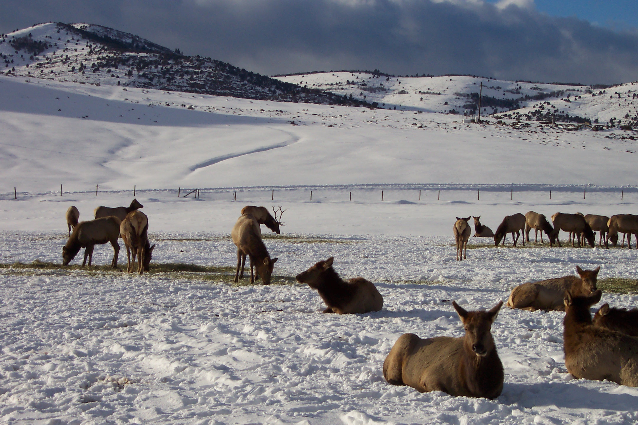 Utah: Park City, Heber, and the High‑Country Shoulders (Image Credits: Wikimedia)