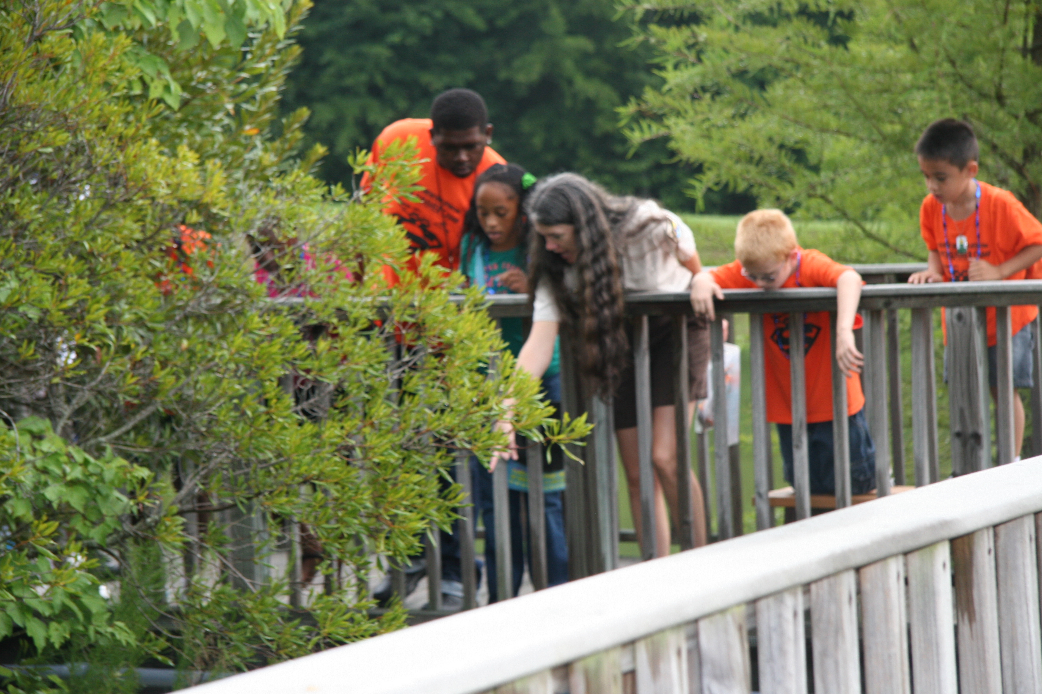 Voices and Networks: Air Signs (Image Credits: Wikimedia)