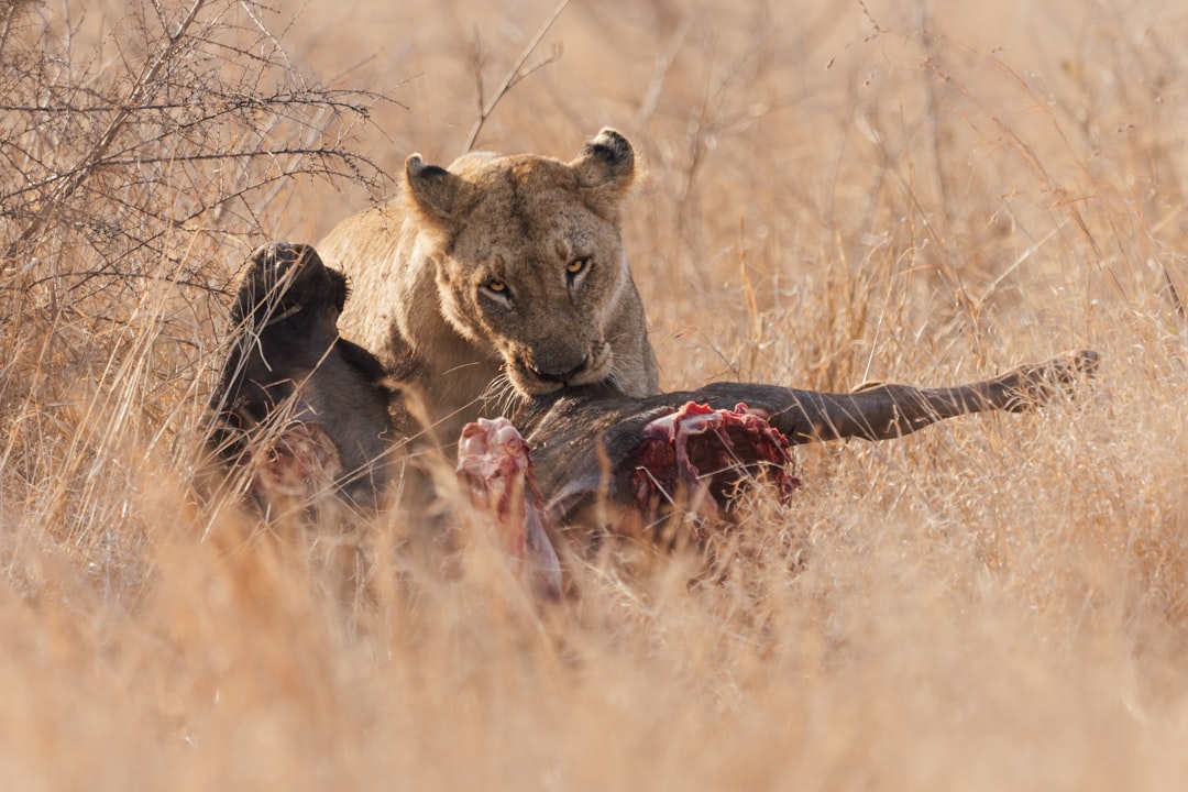 The Hidden Clues (Image Credits: Unsplash)