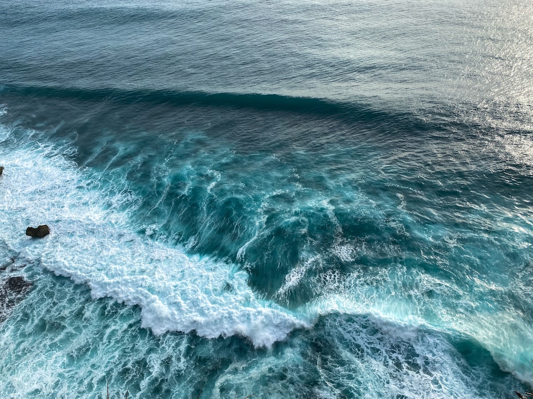 Call to Action (Image Credits: Unsplash)