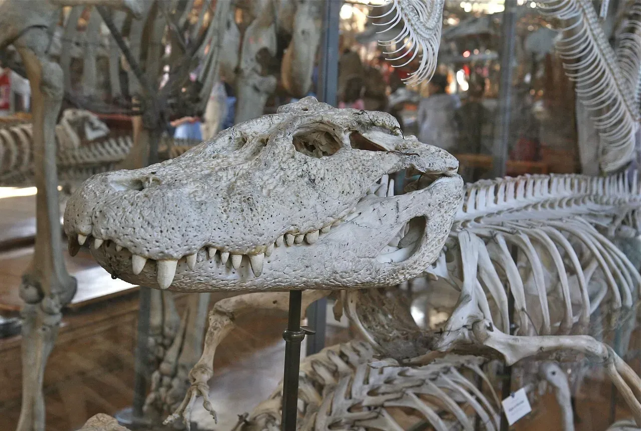 Predators, Peril, and the Birth of Anxiety (Image Credits: Pixabay)