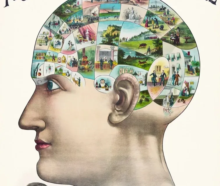 Prediction Machines: How You Hallucinate on Purpose (Image Credits: Rawpixel)