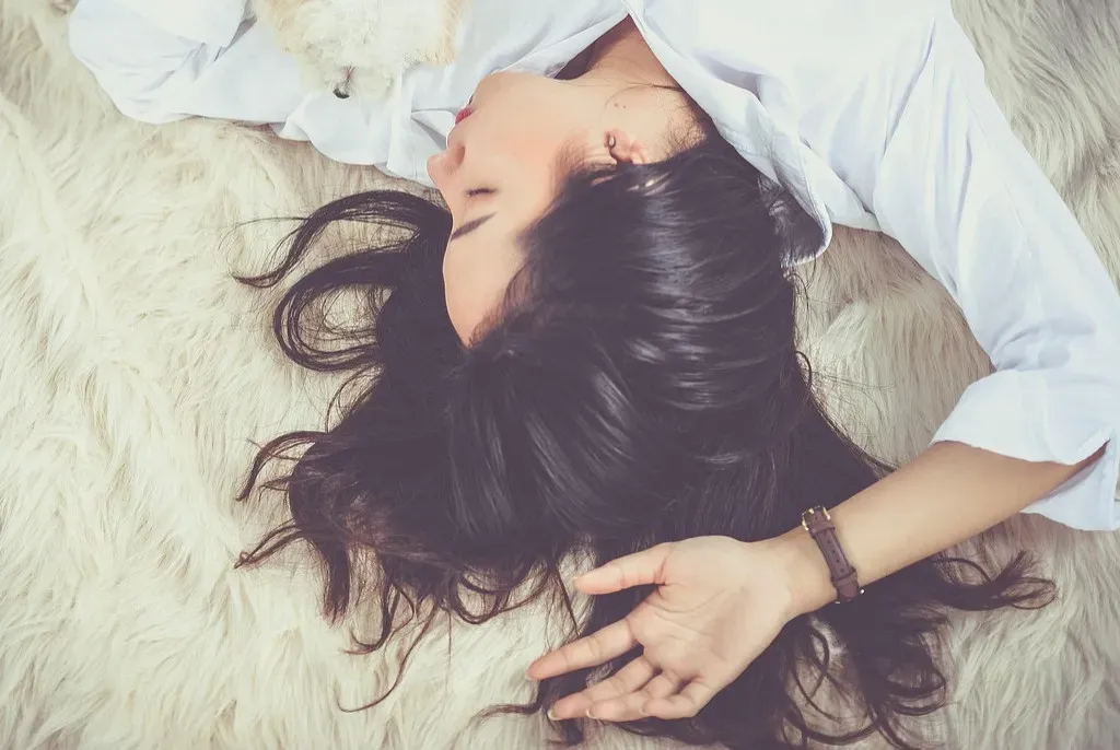 Memories, Learning, and the “Housekeeping” Role of Dreams (Image Credits: Pixabay)